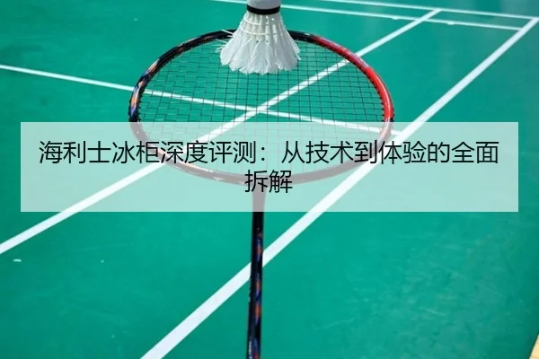 海利士冰柜深度评测：从技术到体验的全面拆解